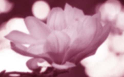 (��)���m������