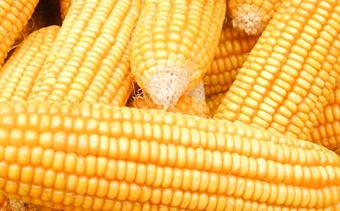 ����ُ�N��ͬ���\15ƪ