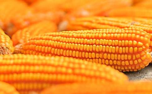 美味松仁玉米的做法