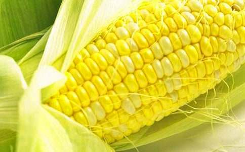 �������׵�����