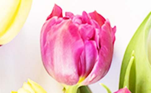 С���ֹ��̰���������