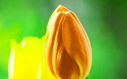 �����㻨��ô�B-�����㻨�Bֳ����