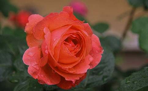 �Ҽҵ��¼�����