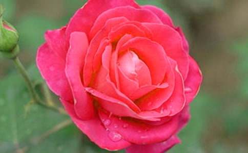 �¼�������15ƪ