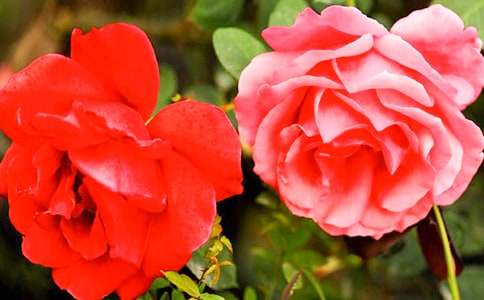 �¼��������Bֳ����