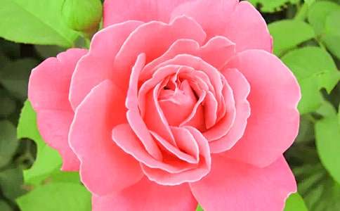 �¼�������ͨ��15ƪ