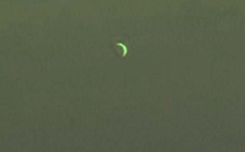 【熱門】月亮的作文匯總5篇