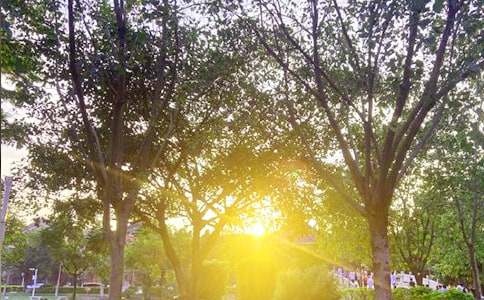 ����־�簲�İ���ȫ180��