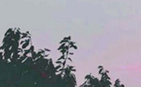 ���������簲���Z190��