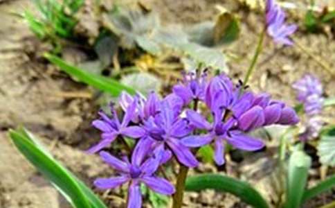 最新早安文案大全60句