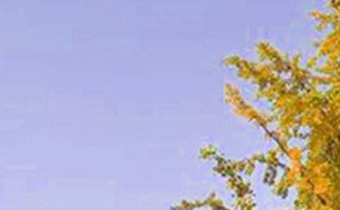 ���P(gu��n)ů���簲�İ��R�������x65�䣩