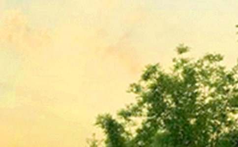 �����簲�İ���ͨ��45�䣩