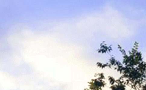 �����簲�İ�30�侫�x