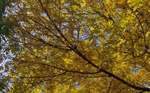 �P(gu��n)��ů���簲�İ���ͨ��100�䣩