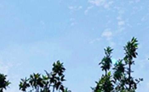 有關(guān)個(gè)性早安文案大全(通用150句)