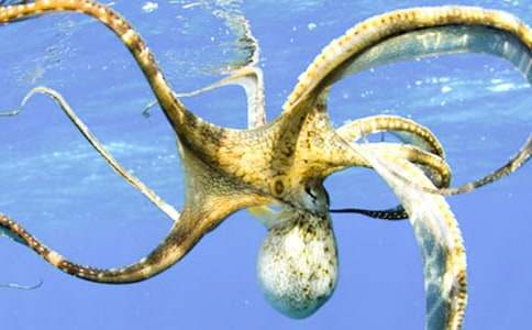 ���~����ô���ó�