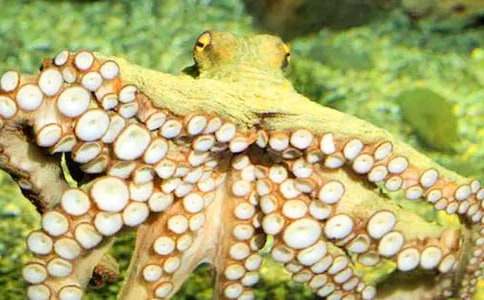 С���~����