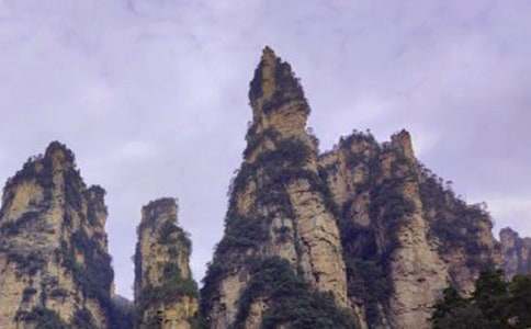 游張家界作文(15篇)