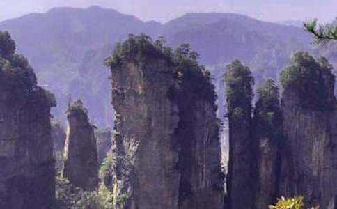 [ͨ��]�Ώ��ҽ�����