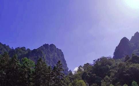 ���ҽ����ΏV���Zͨ��270�l