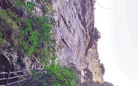 �ҵď��ҽ�֮������