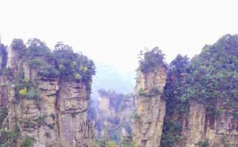 (精選)張家界的作文