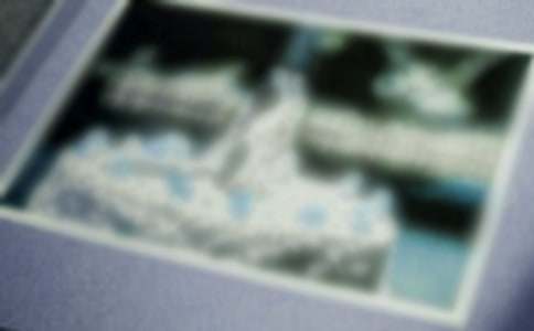 (精華)一張照片作文15篇