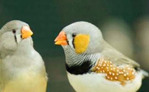 ���꼉(j��)�Z�ġ������B���u(p��ng)�n�壨ͨ��14ƪ��