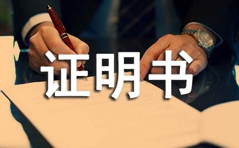 �t���C���\���C����