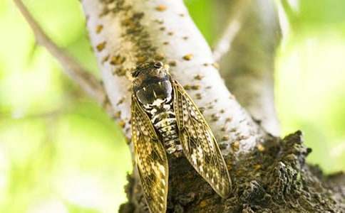 ׽֪������(�R��15ƪ)