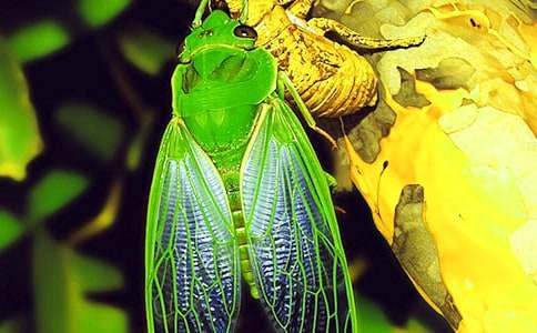 ֪�ˌW�w����