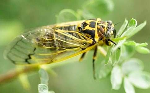 ׽֪�����Ľ�(j��ng)��[15ƪ]