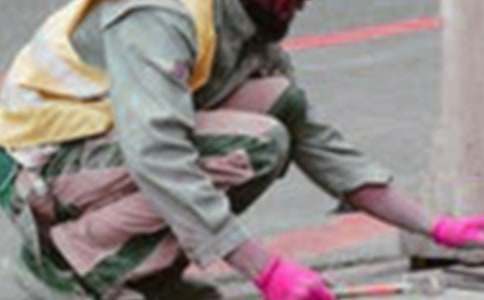 職業(yè)的作文集錦7篇