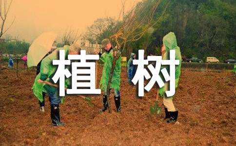 《植樹問題》評(píng)課稿(錦集15篇)