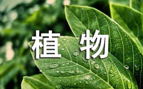 《我們知道的植物》教學(xué)設(shè)計