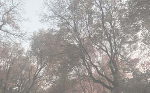 游北京植物園有感