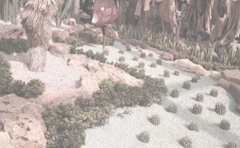 �A��ֲ��@����