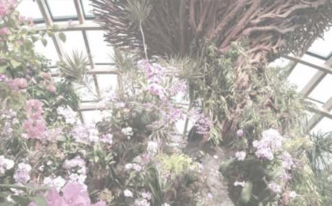 ����ֲ��@�^���