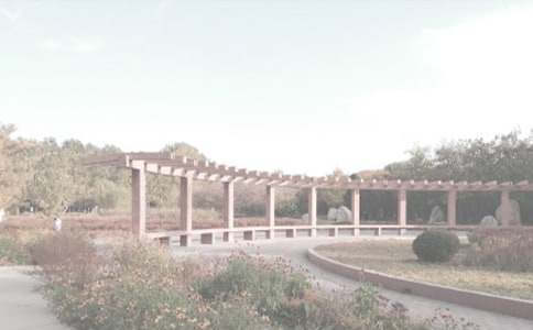 ��ֲ��@����15ƪ���]��