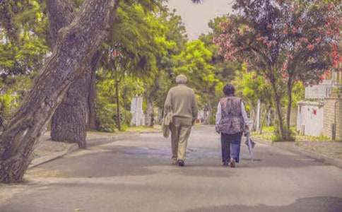 初中年度工作計劃范文合集5篇