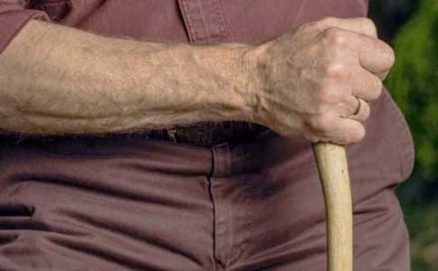 С�W���꼉��x�̌W�����c