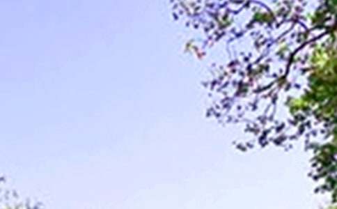 ������������U�������������12�c��14�c֮�g�k��I�Ն�