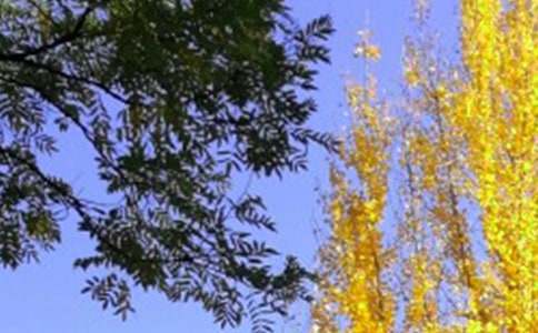 �����β��ܺ���ˎ