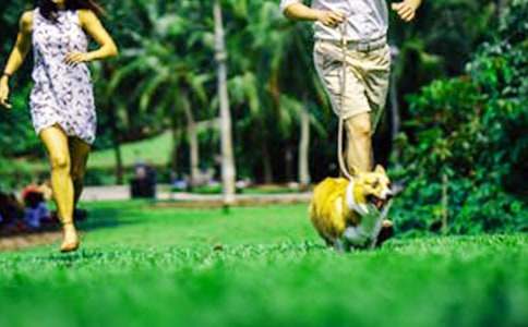 周末正能量文案