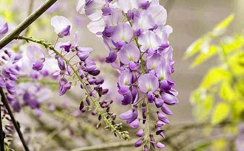 �����x�����ٻ�������ƪ