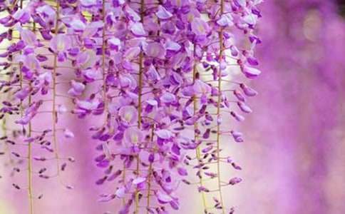 ���ٻ����ĺϼ���ƪ