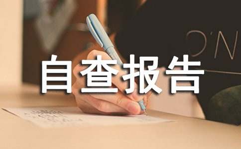金融統(tǒng)計(jì)自查報(bào)告精選11篇