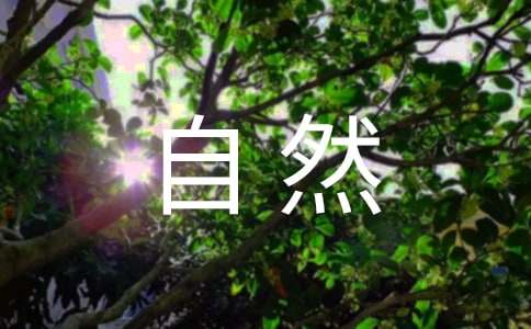 【推薦】《大自然的聲音》評課稿12篇