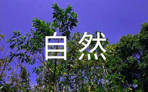 大自然的聲音評(píng)課稿通用(精選)