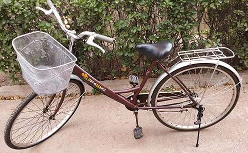 學(xué)騎自行車優(yōu)秀作文